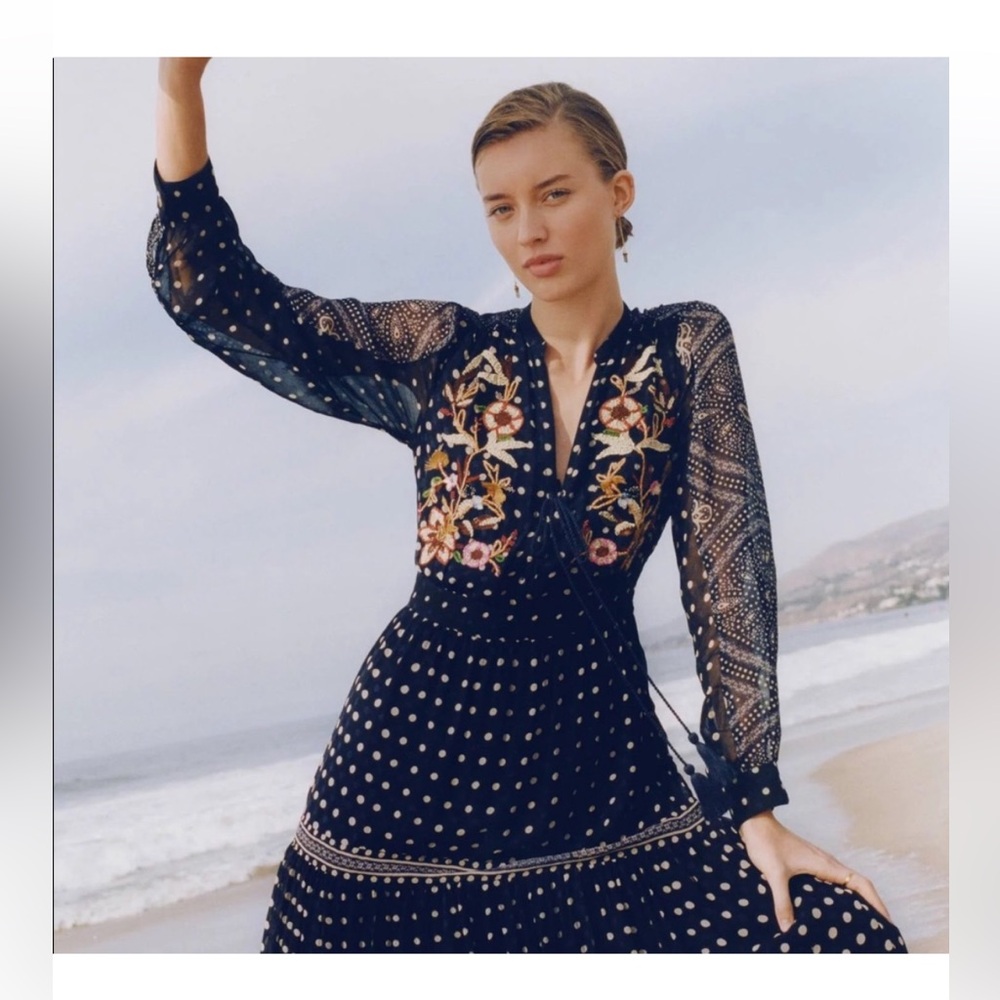 Anthropologie Maeve Cassidy Embroidered Midi Dress 8